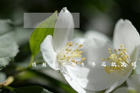 信用卡逾期5年还款流程 信用卡逾期5年还款流程