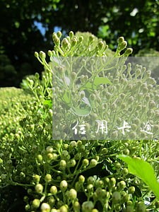 信用卡逾期5年还清还能用吗
