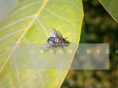 信用卡逾期5张会怎么样 信用卡逾期5张会怎么样