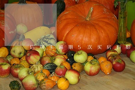 信用卡逾期5次买房有影响吗 信用卡逾期5次买房有影响吗