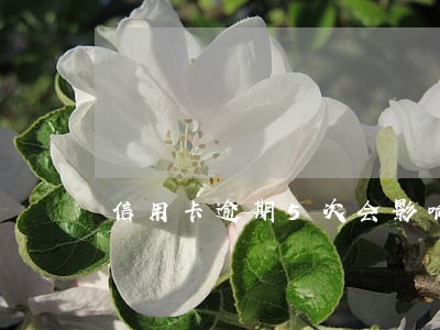 信用卡逾期5次会影响贷款吗 信用卡逾期5次会影响贷款吗