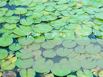 信用卡逾期5次可以贷款吗 信用卡逾期5次可以贷款吗