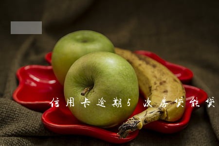 信用卡逾期5次房贷能贷的吗 信用卡逾期5次房贷能贷的吗