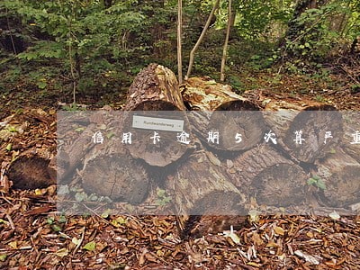 信用卡逾期5次算严重吗6 信用卡逾期5次算严重吗6