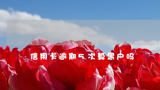 信用卡逾期5次算黑户吗 信用卡逾期5次算黑户吗