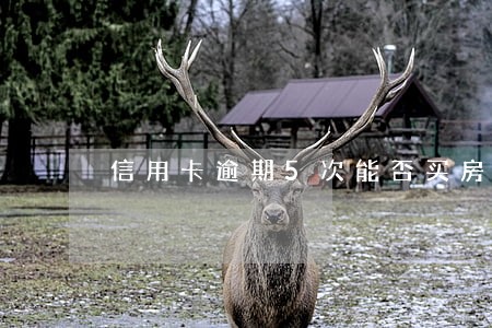 信用卡逾期5次能否买房 信用卡逾期5次能否买房