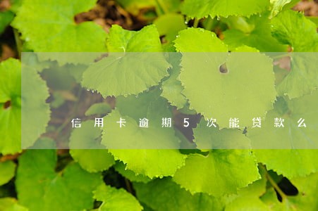 信用卡逾期5次能贷款么 信用卡逾期5次能贷款么