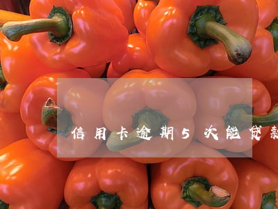 信用卡逾期5次能贷款几成