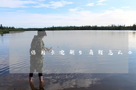 信用卡逾期5角钱怎么办 信用卡逾期5角钱怎么办