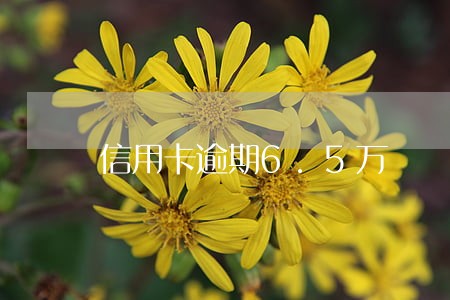 信用卡逾期6.5万 信用卡逾期6.5万