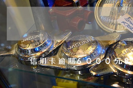 信用卡逾期6000元8年 信用卡逾期6000元8年
