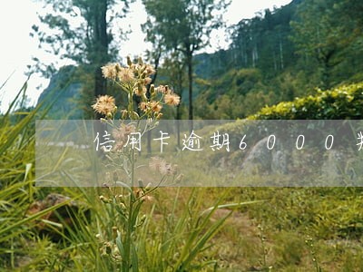 信用卡逾期6000判刑吗 信用卡逾期6000判刑吗