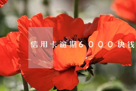 信用卡逾期6000块钱会怎样 信用卡逾期6000块钱会怎样