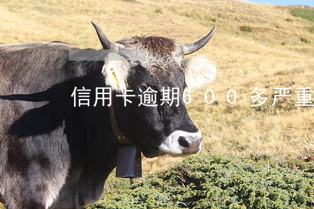 信用卡逾期600多严重吗 信用卡逾期600多严重吗