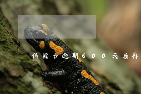 信用卡逾期600天后再还 信用卡逾期600天后再还