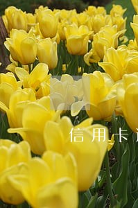 信用卡逾期60万可以坐牢吗