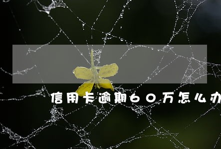 信用卡逾期60万怎么办 信用卡逾期60万怎么办