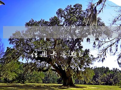 信用卡逾期60元2个星期 信用卡逾期60元2个星期