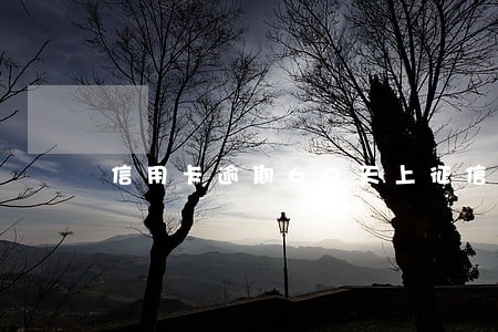 信用卡逾期60天上征信吗