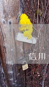 信用卡逾期60天上门是干嘛 信用卡逾期60天上门是干嘛
