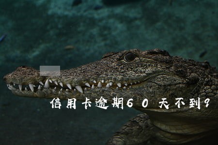 信用卡逾期60天不到90天会怎样 信用卡逾期60天不到90天会怎样
