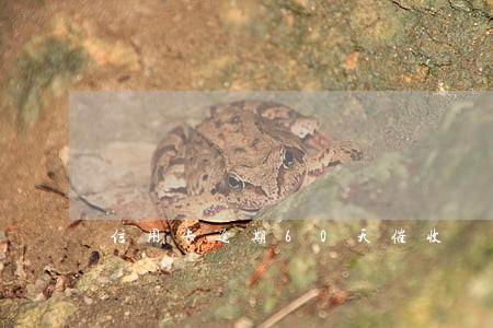 信用卡逾期60天催收 信用卡逾期60天催收