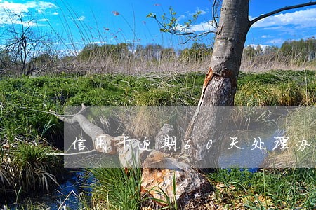 信用卡逾期60天处理办法 信用卡逾期60天处理办法