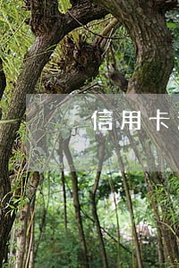信用卡逾期60天是怎么计算 信用卡逾期60天是怎么计算