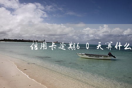 信用卡逾期60天算什么 信用卡逾期60天算什么
