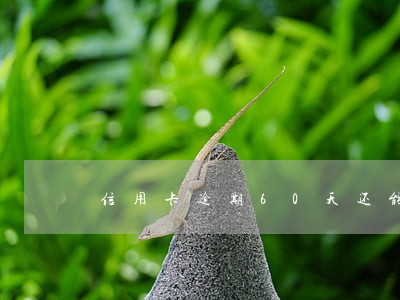 信用卡逾期60天还能坐高铁吗 信用卡逾期60天还能坐高铁吗