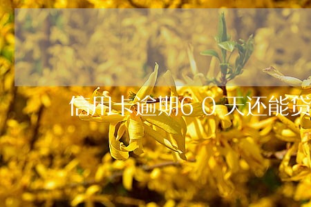 信用卡逾期60天还能贷款吗 信用卡逾期60天还能贷款吗