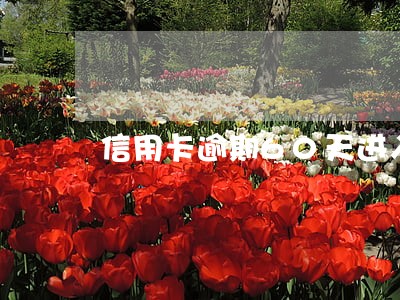 信用卡逾期60天进入不良 信用卡逾期60天进入不良