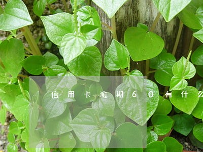 信用卡逾期60有什么影响吗