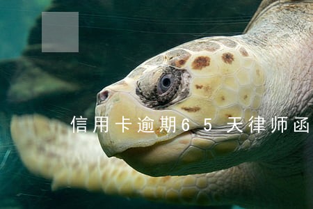 信用卡逾期65天律师函