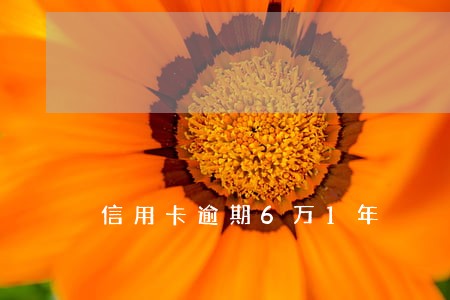 信用卡逾期6万1年