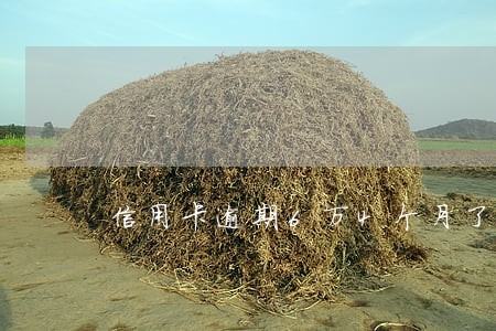信用卡逾期6万4个月了 信用卡逾期6万4个月了