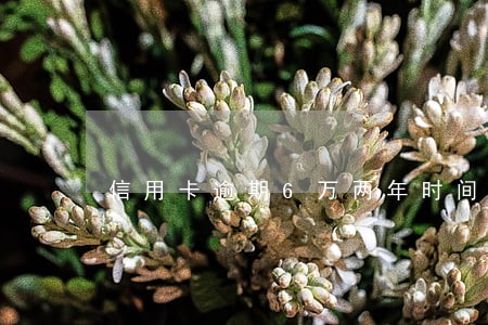 信用卡逾期6万两年时间没还 信用卡逾期6万两年时间没还