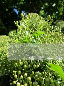 信用卡逾期6万半年 信用卡逾期6万半年