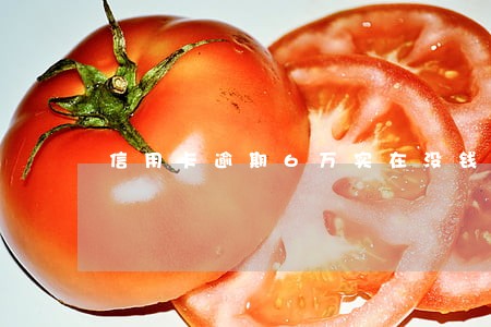 信用卡逾期6万实在没钱还怎么解决