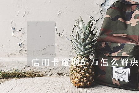 信用卡逾期6万怎么解决 信用卡逾期6万怎么解决