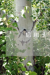 信用卡逾期6万无法还 信用卡逾期6万无法还