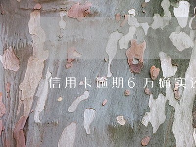 信用卡逾期6万确实还不上怎么解决 信用卡逾期6万确实还不上怎么解决