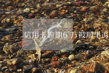 信用卡逾期6万被刑事诉讼