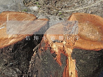 信用卡逾期6个