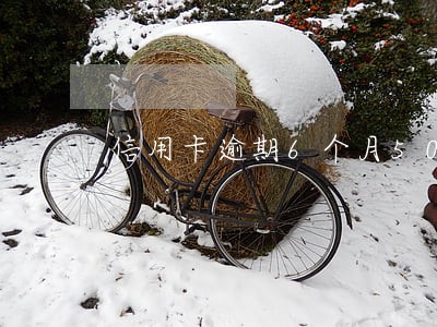 信用卡逾期6个月5000块 信用卡逾期6个月5000块