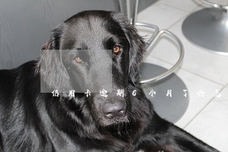 信用卡逾期6个月了会怎么样