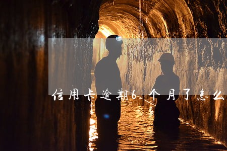 信用卡逾期6个月了怎么办 信用卡逾期6个月了怎么办