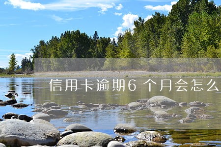 信用卡逾期6个月会怎么样金额不大 信用卡逾期6个月会怎么样金额不大