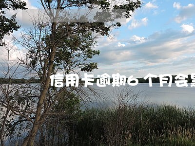 信用卡逾期6个月会黑名单