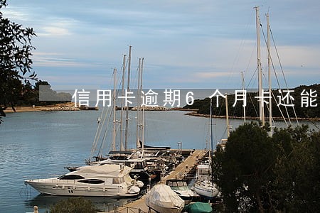 信用卡逾期6个月卡还能用吗 信用卡逾期6个月卡还能用吗